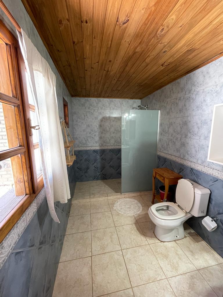 The bathroom features a glass-enclosed shower and a white toilet. Natural light enters through two wooden-framed windows with sheer curtains. A wooden stand adds a touch of warmth, while tiled walls and floor provide a clean and functional space.