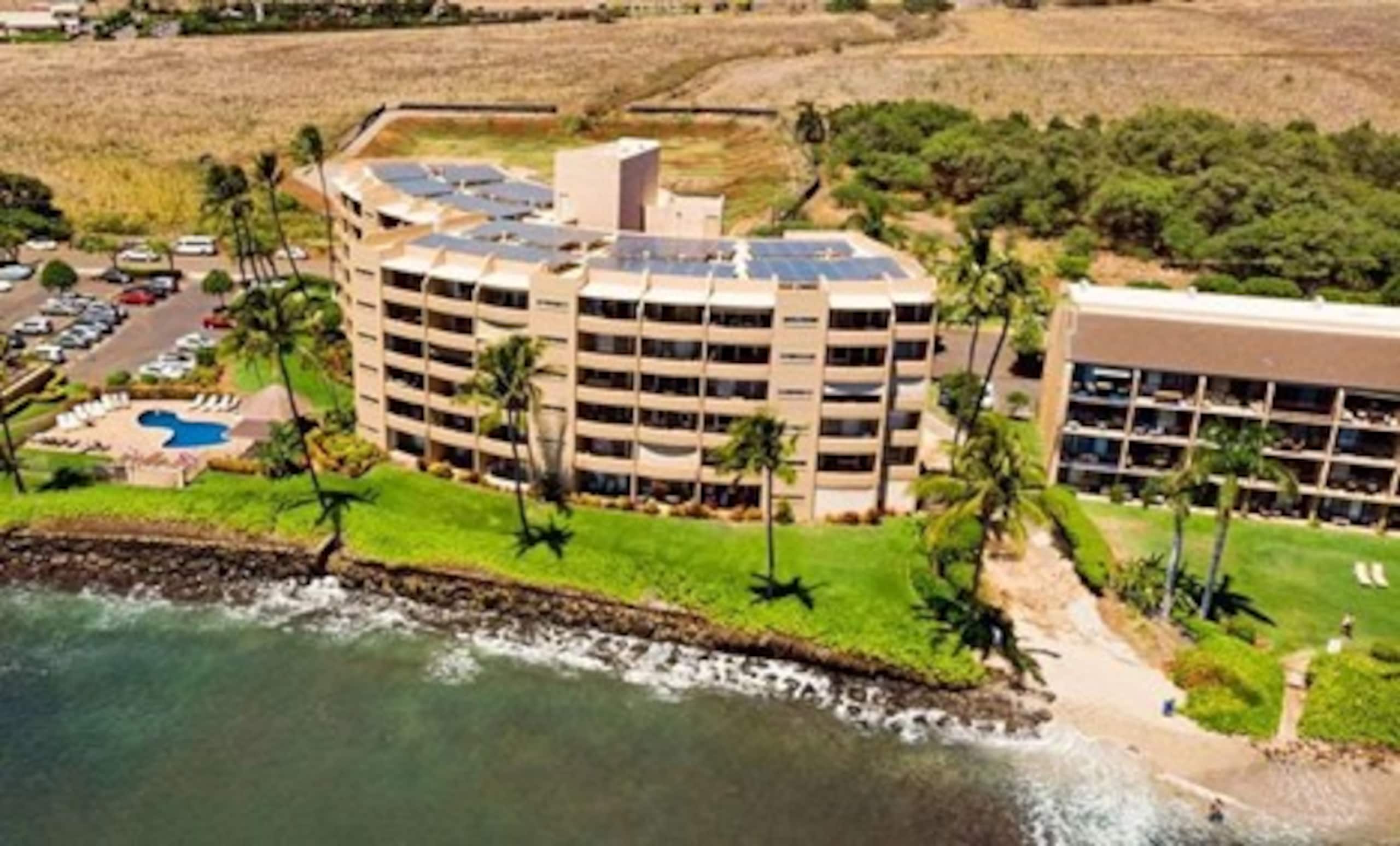 Condo in Wailuku · ★4.97 · Studio · 1 bed · 1 private bath - Image 15