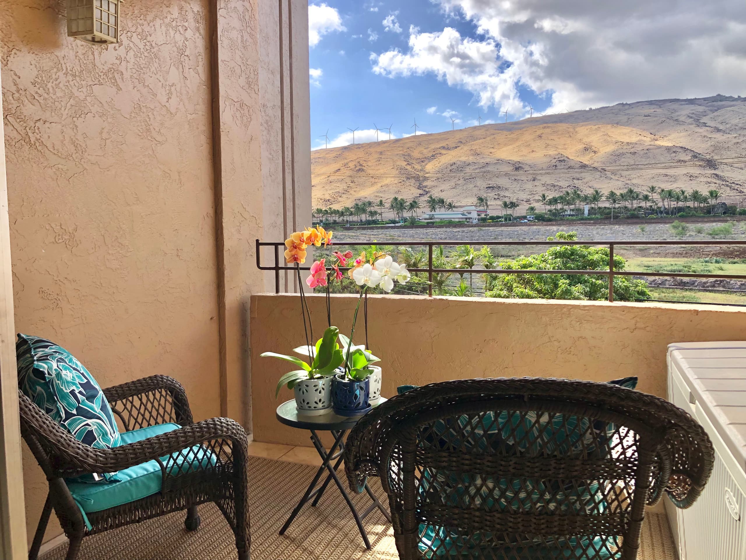 Condo in Wailuku · ★4.97 · Studio · 1 bed · 1 private bath - Image 12