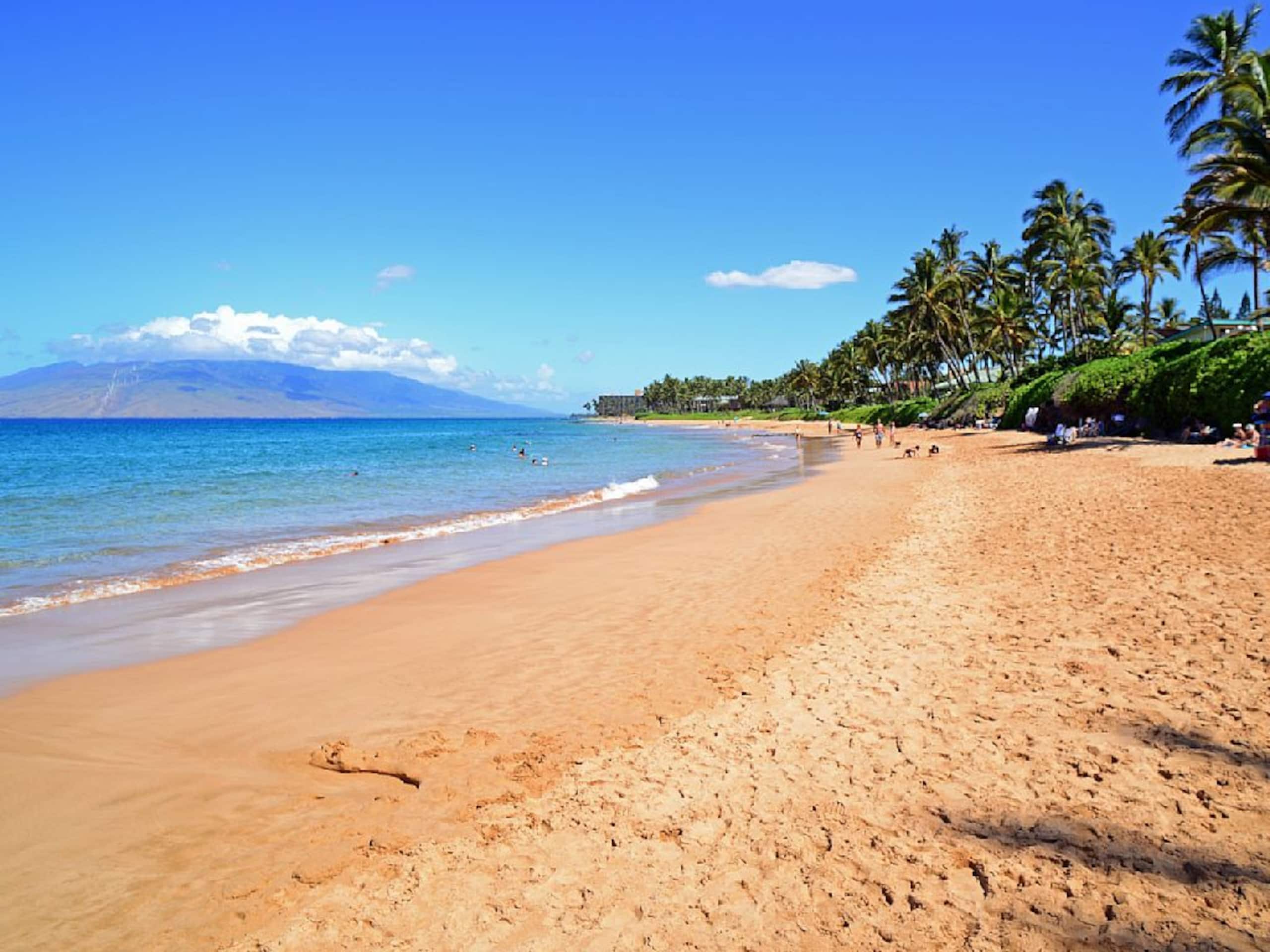 Condo in Wailea · ★4.88 · 1 bedroom · 2 beds · 2 baths - Image 45