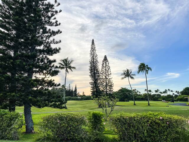 Niki Lani Condo on the Golf Course @ Turtle Bay gallery image 3