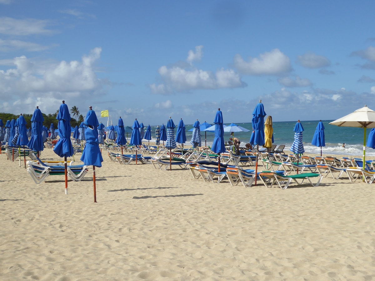 A sandy beach area is lined with sun loungers and vibrant blue umbrellas, providing shade for relaxation. The gentle waves lap at the shore, while a few palm trees can be seen in the background, contributing to the serene coastal scene.