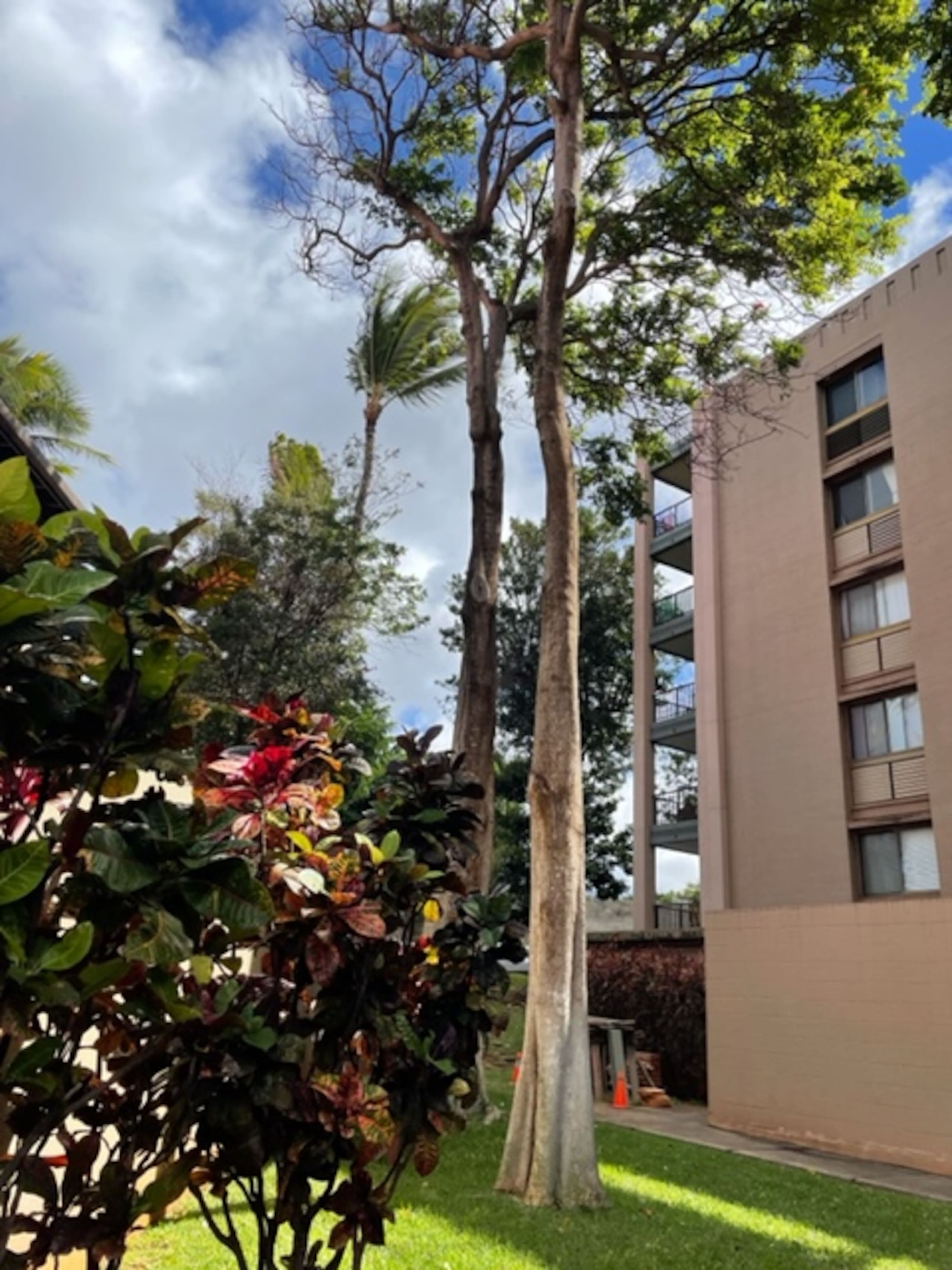 Condo in Lahaina · ★4.81 · 2 bedrooms · 3 beds · 2 baths - Image 57