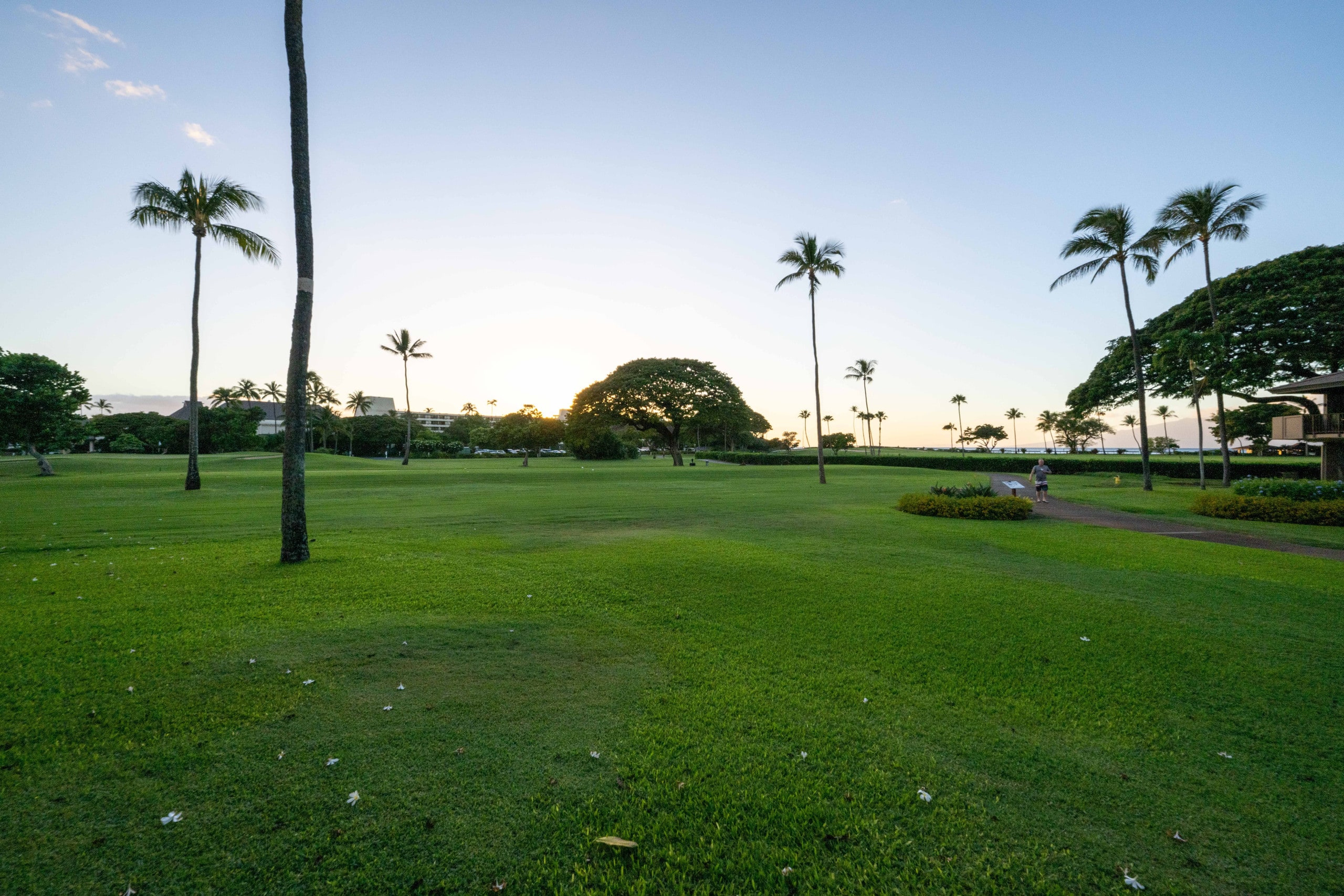 Condo in Lahaina · ★4.93 · 1 bedroom · 3 beds · 1 private bath - Image 31