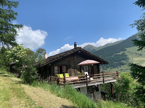 Chalet le Moulin - quiet, nature, fireplace, view