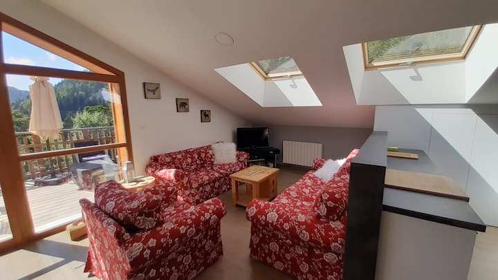 Grand Appartement Avec Sauna, Poêle à Bois - La Bresse