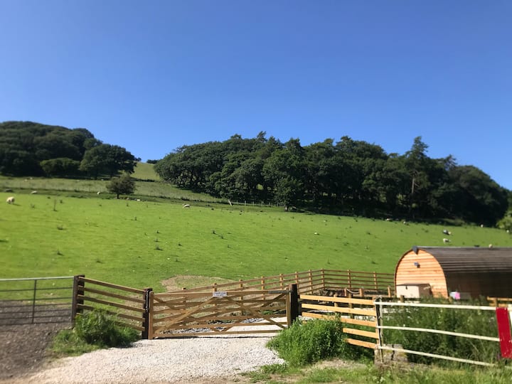 Welsh Glamping pod photo 3