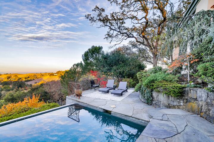 Stunning Luxurious Modern Los Altos Hills Villa gallery image 4