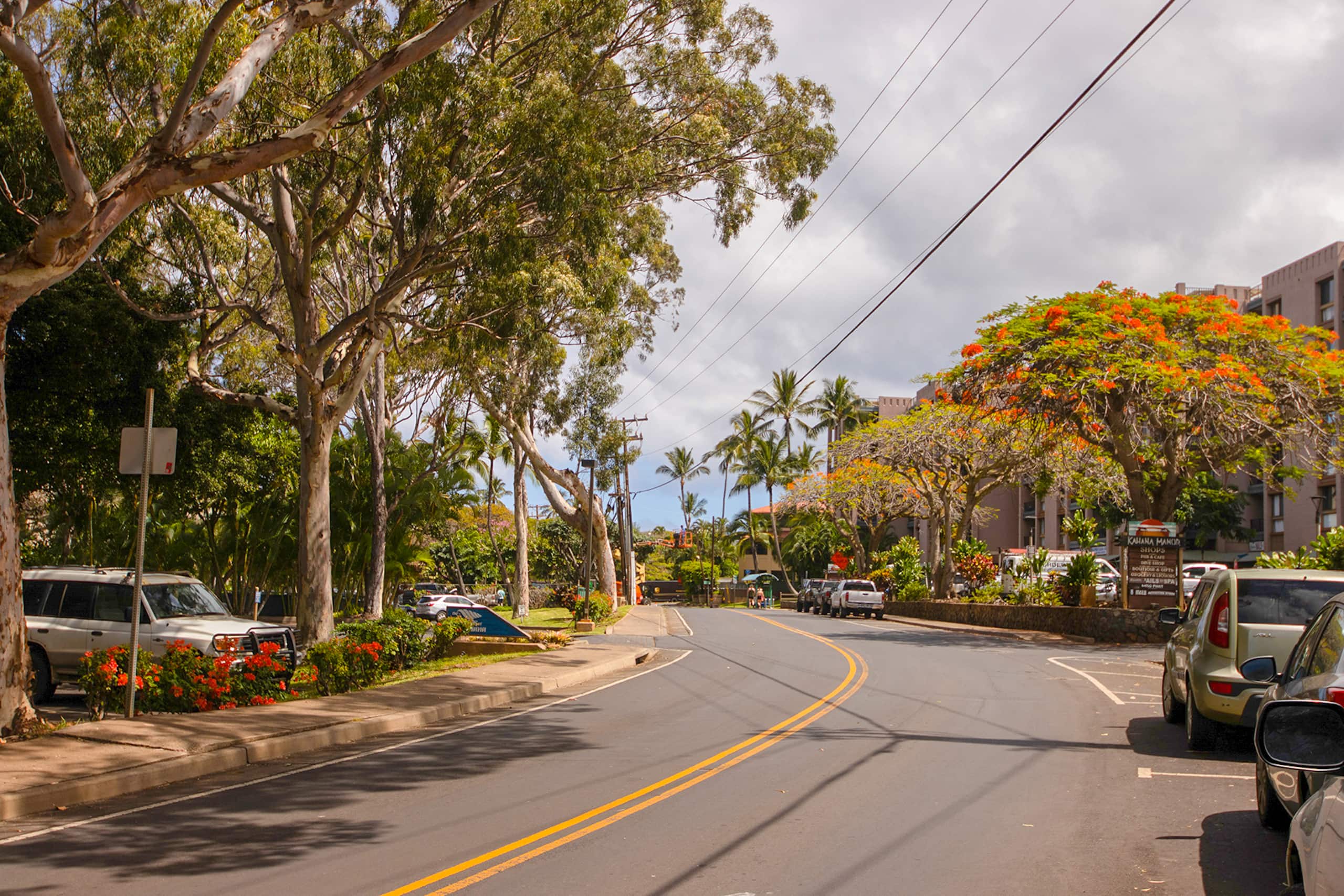Condo in Lahaina · ★4.91 · 2 bedrooms · 3 beds · 2 baths - Image 104