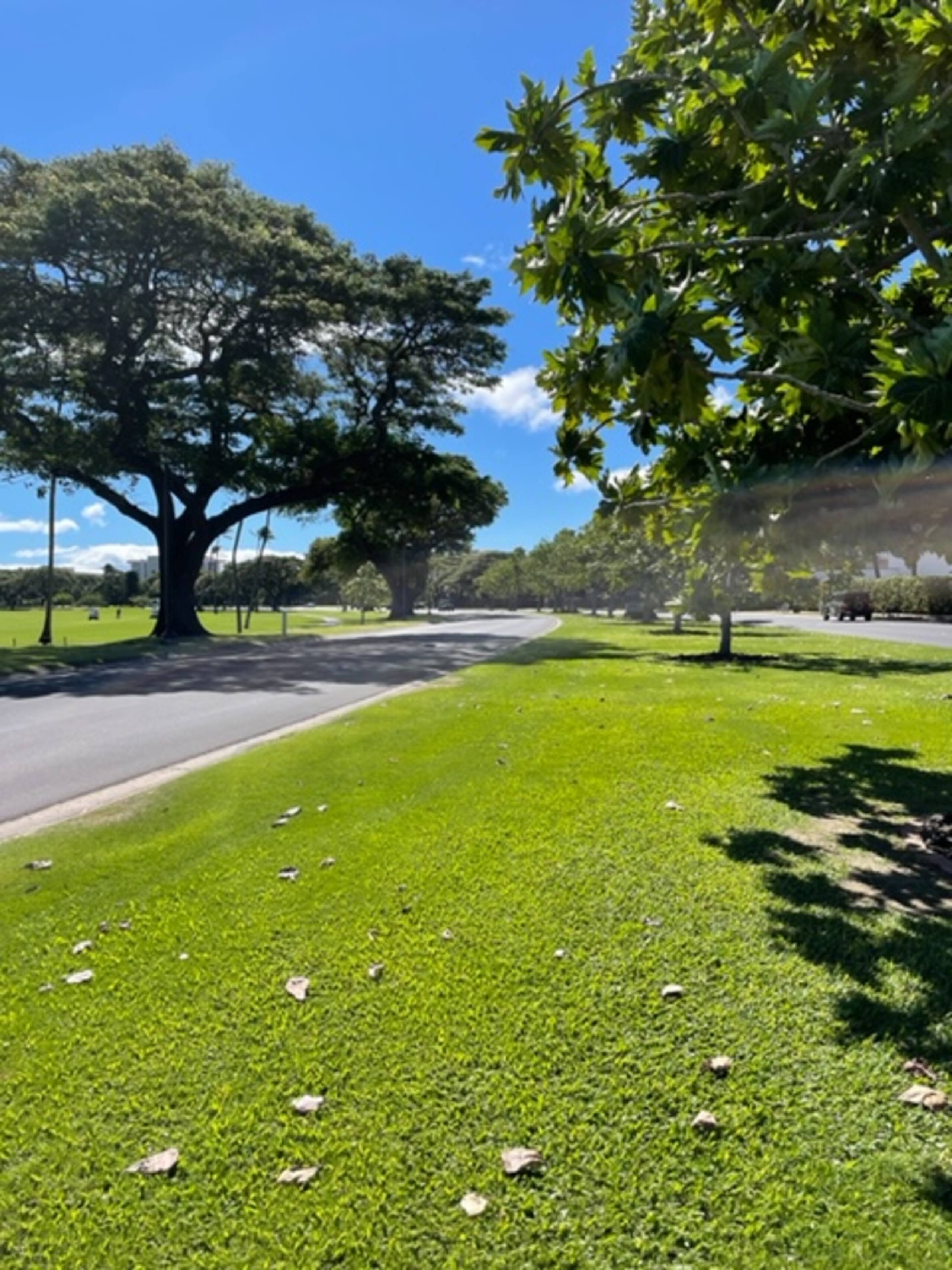Condo in Lahaina · ★4.91 · 2 bedrooms · 3 beds · 2 baths - Image 60