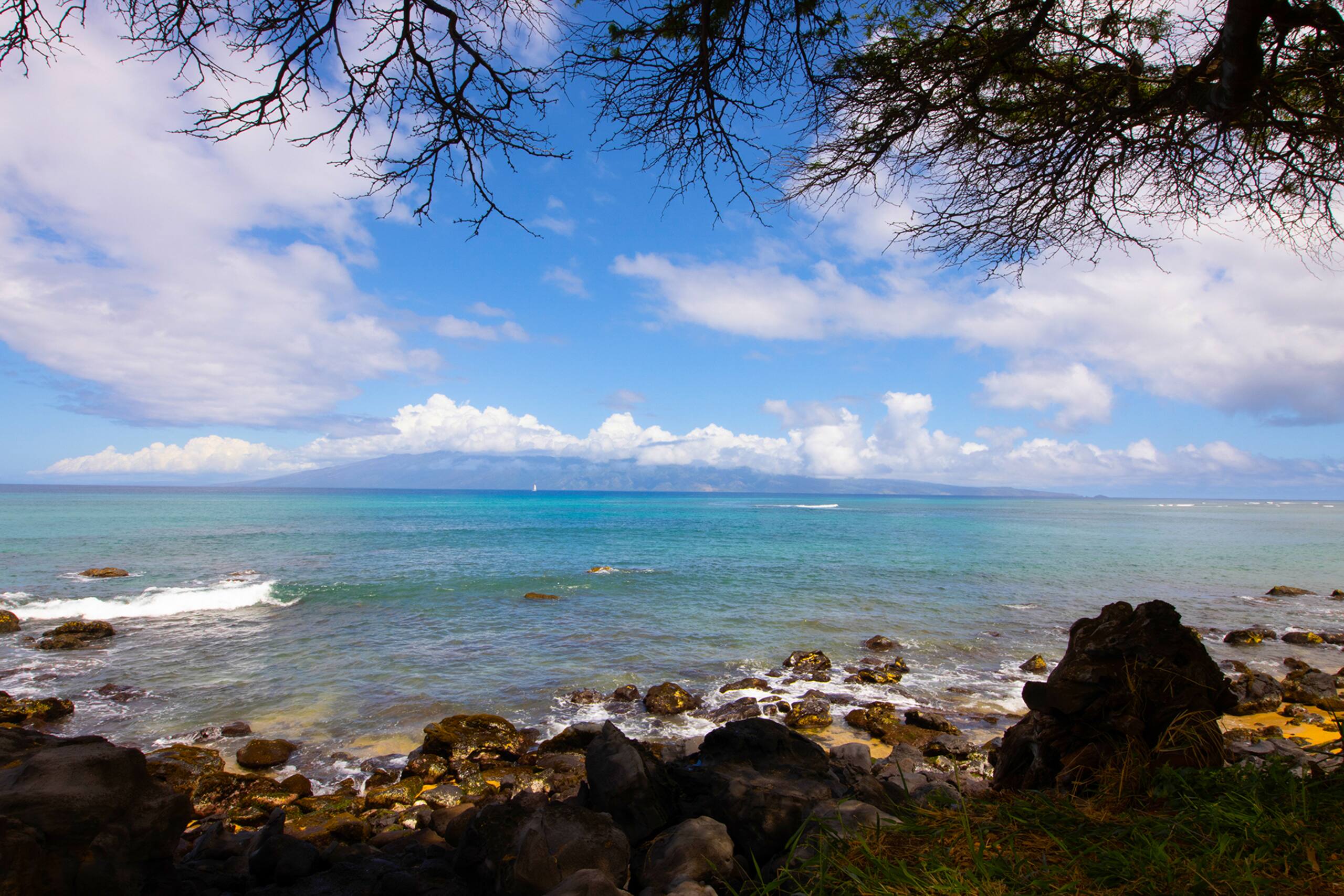 Condo in Lahaina · ★4.91 · 2 bedrooms · 3 beds · 2 baths - Image 102