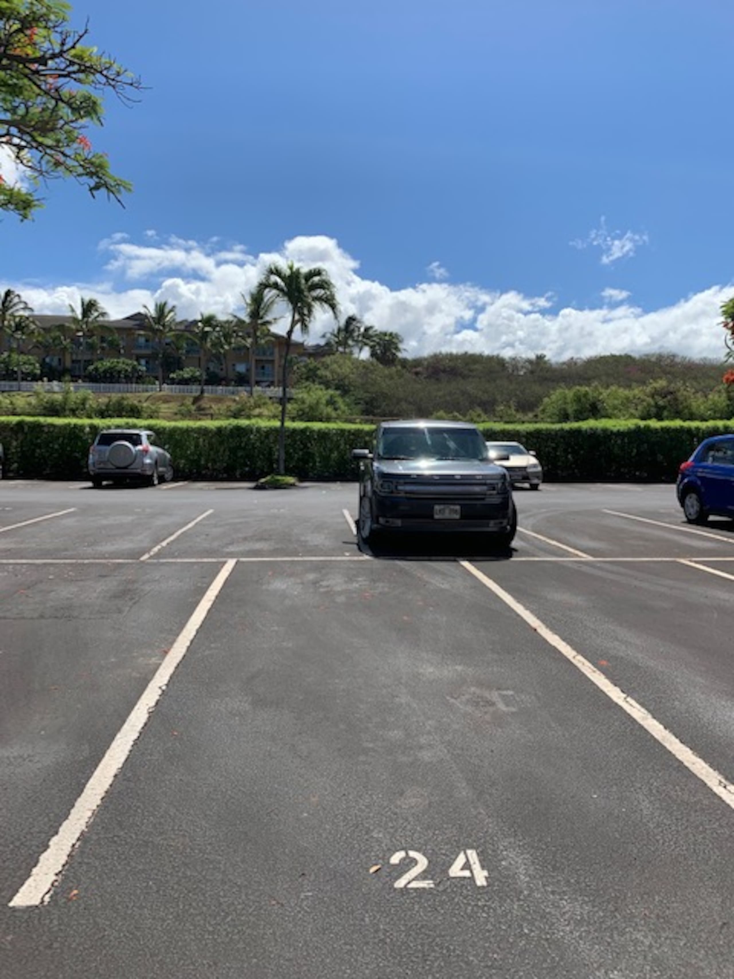 Condo in Lahaina · ★4.91 · 2 bedrooms · 3 beds · 2 baths - Image 53