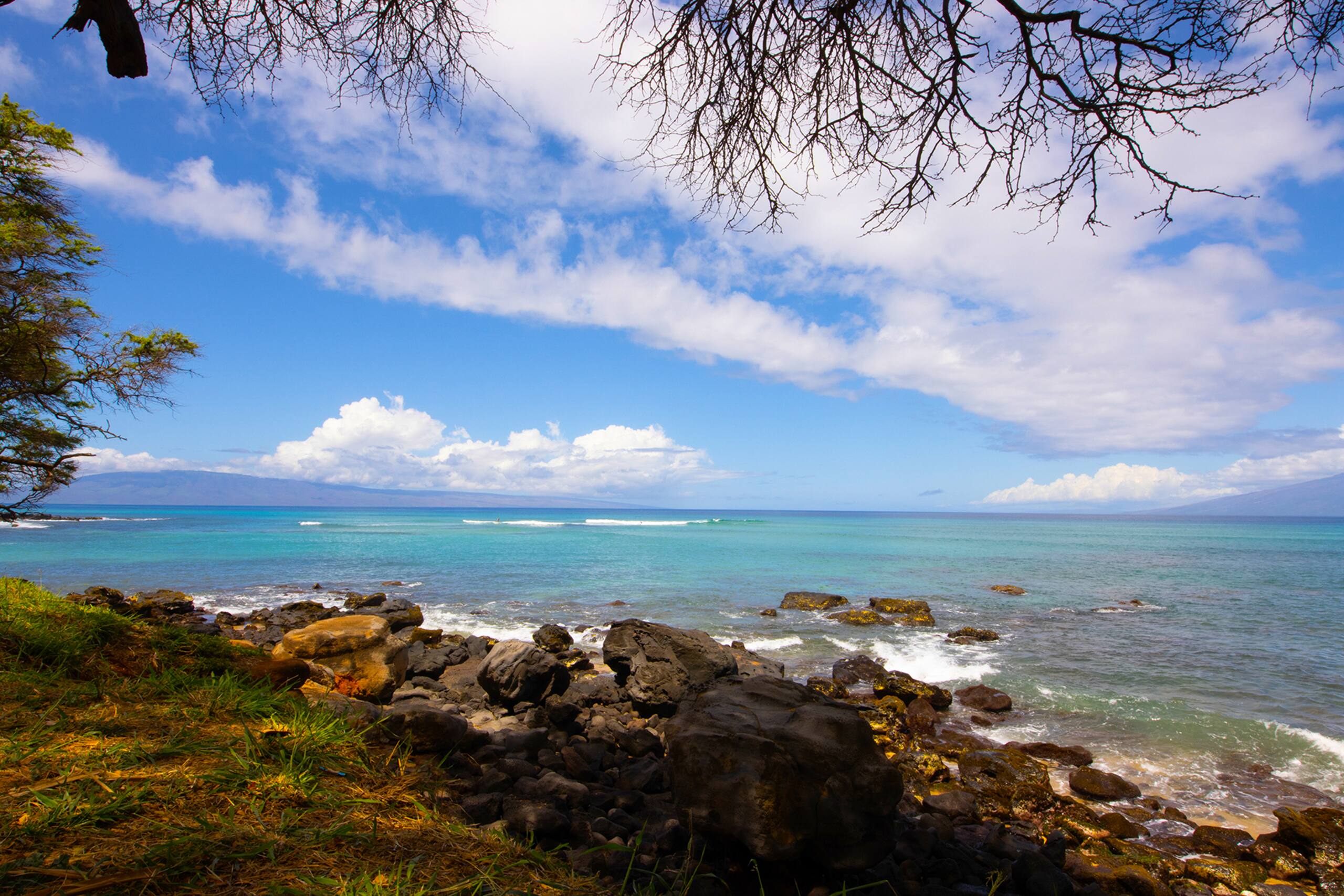 Condo in Lahaina · ★4.91 · 2 bedrooms · 3 beds · 2 baths - Image 89