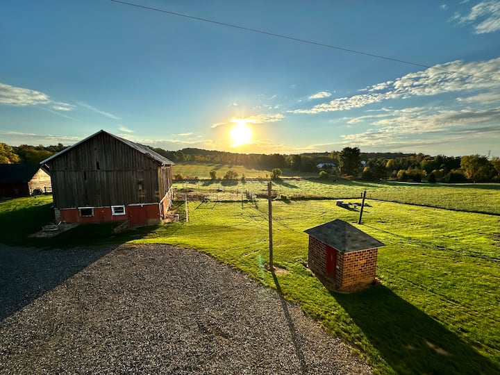 Modern farm apartment with a beautiful view!