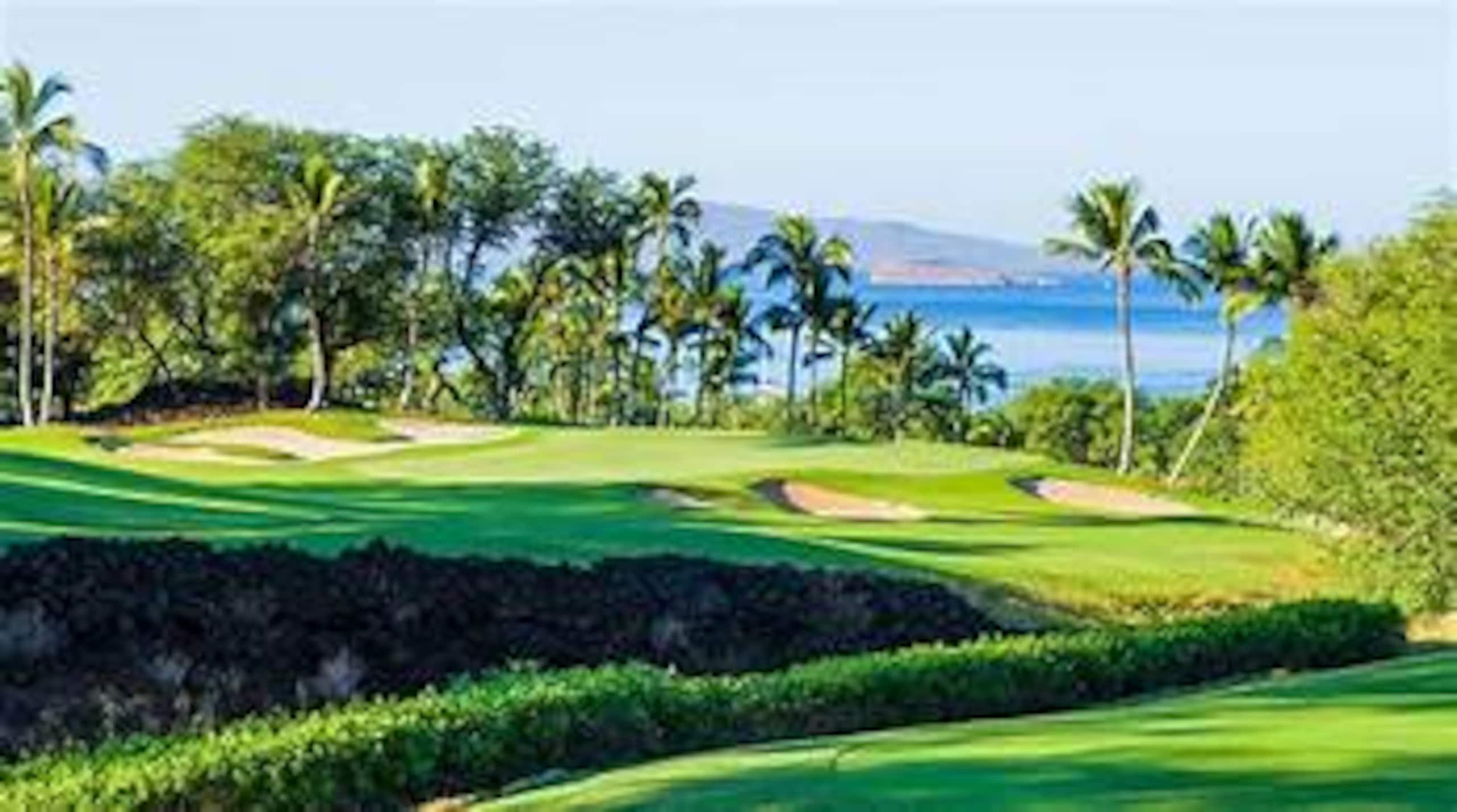 Condo in Lahaina · ★4.82 · 2 bedrooms · 3 beds · 2 private baths - Image 116