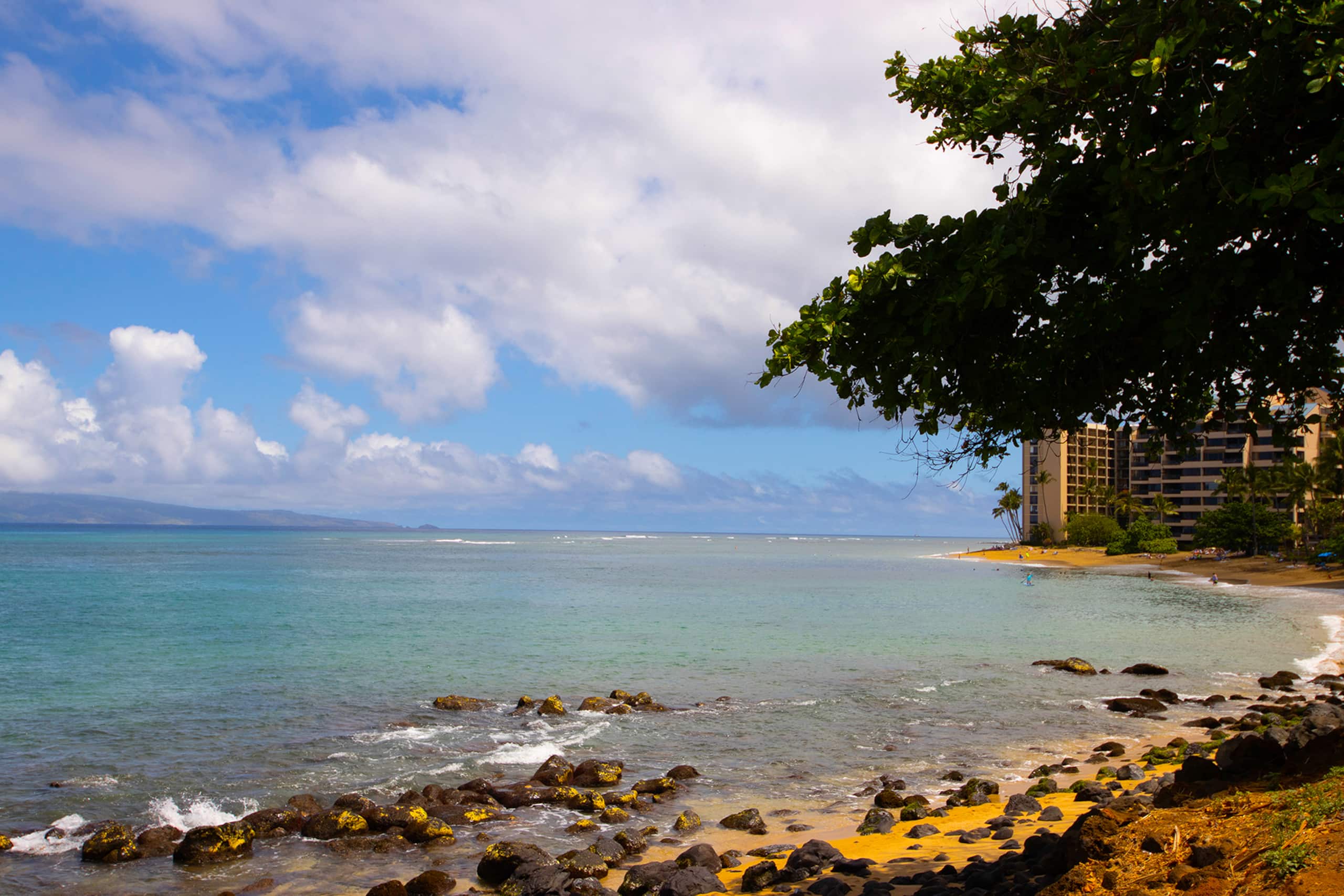 Condo in Lahaina · ★4.82 · 2 bedrooms · 3 beds · 2 private baths - Image 154