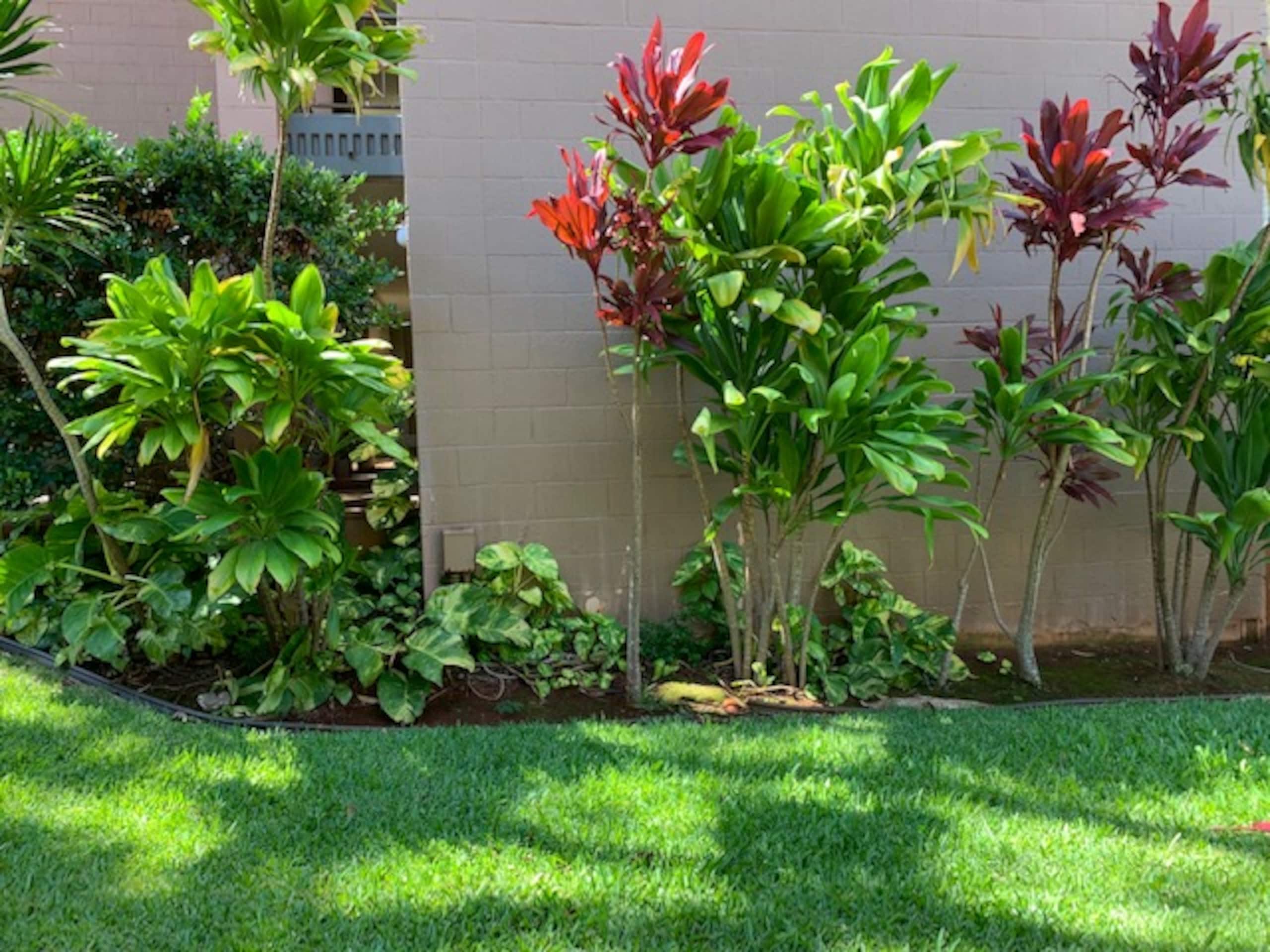 Condo in Lahaina · ★4.82 · 2 bedrooms · 3 beds · 2 private baths - Image 82