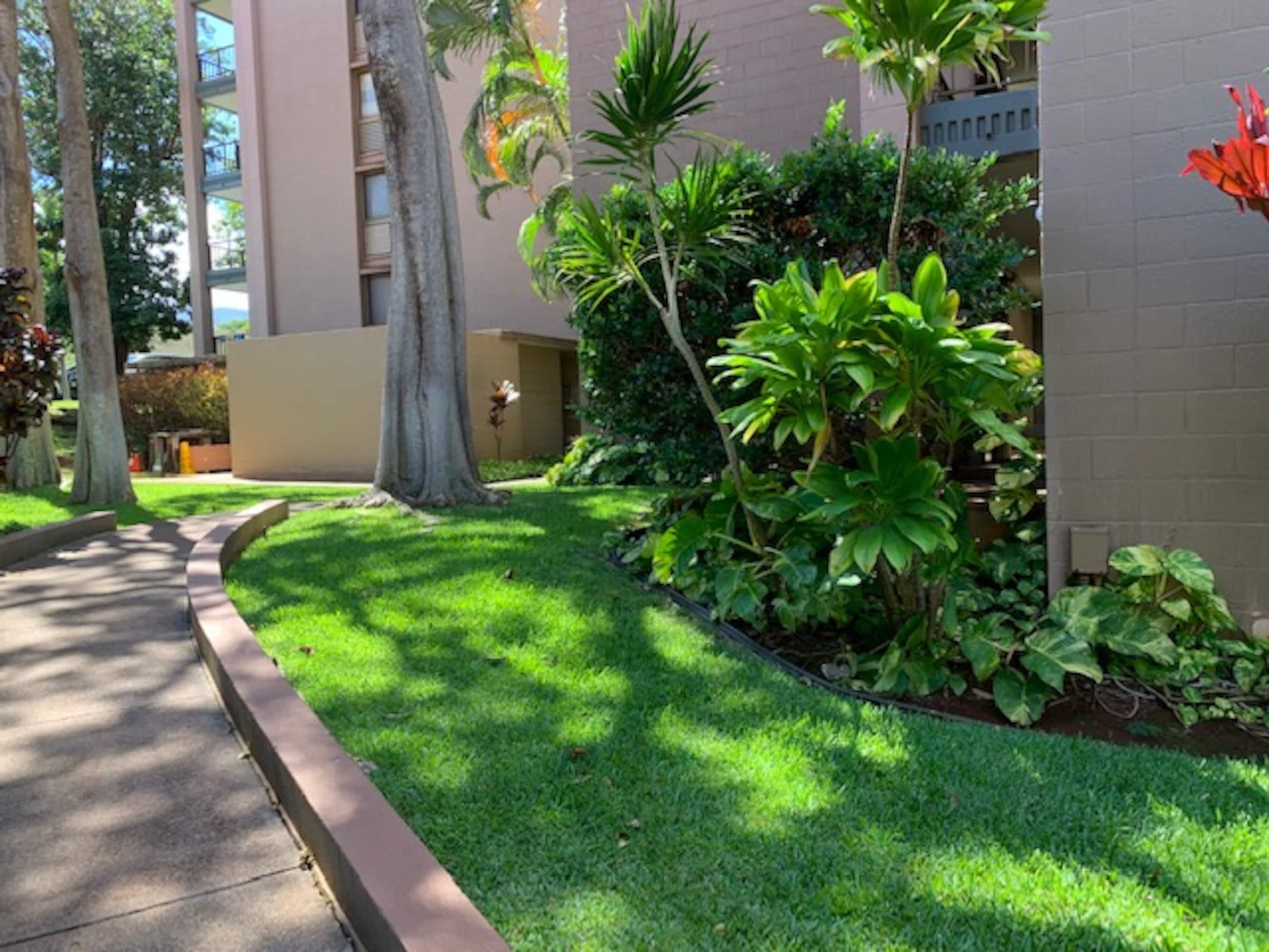 Condo in Lahaina · ★4.82 · 2 bedrooms · 3 beds · 2 private baths - Image 113