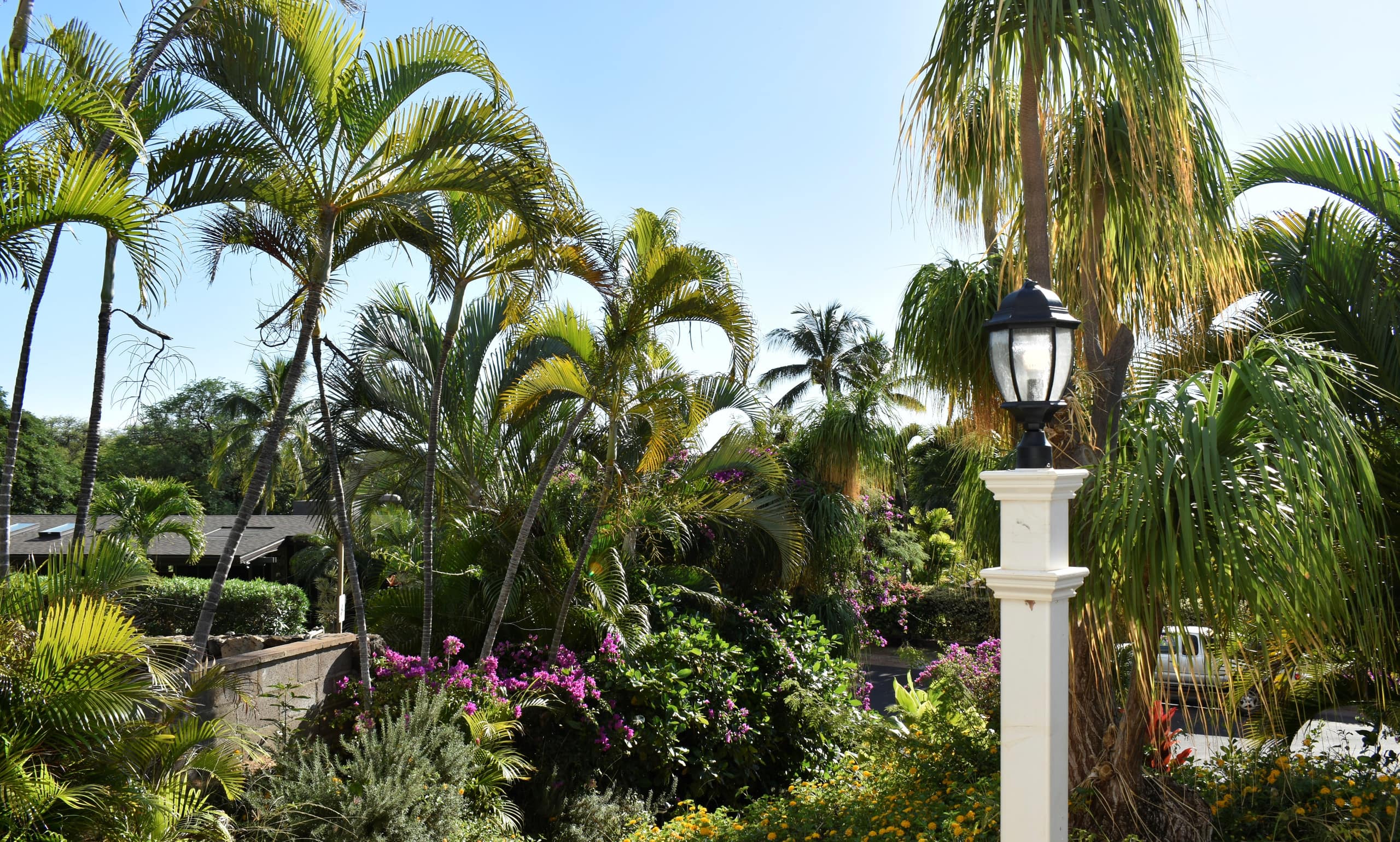 Villa in Lahaina · ★4.8 · 3 bedrooms · 6 beds · 3 baths - Image 111