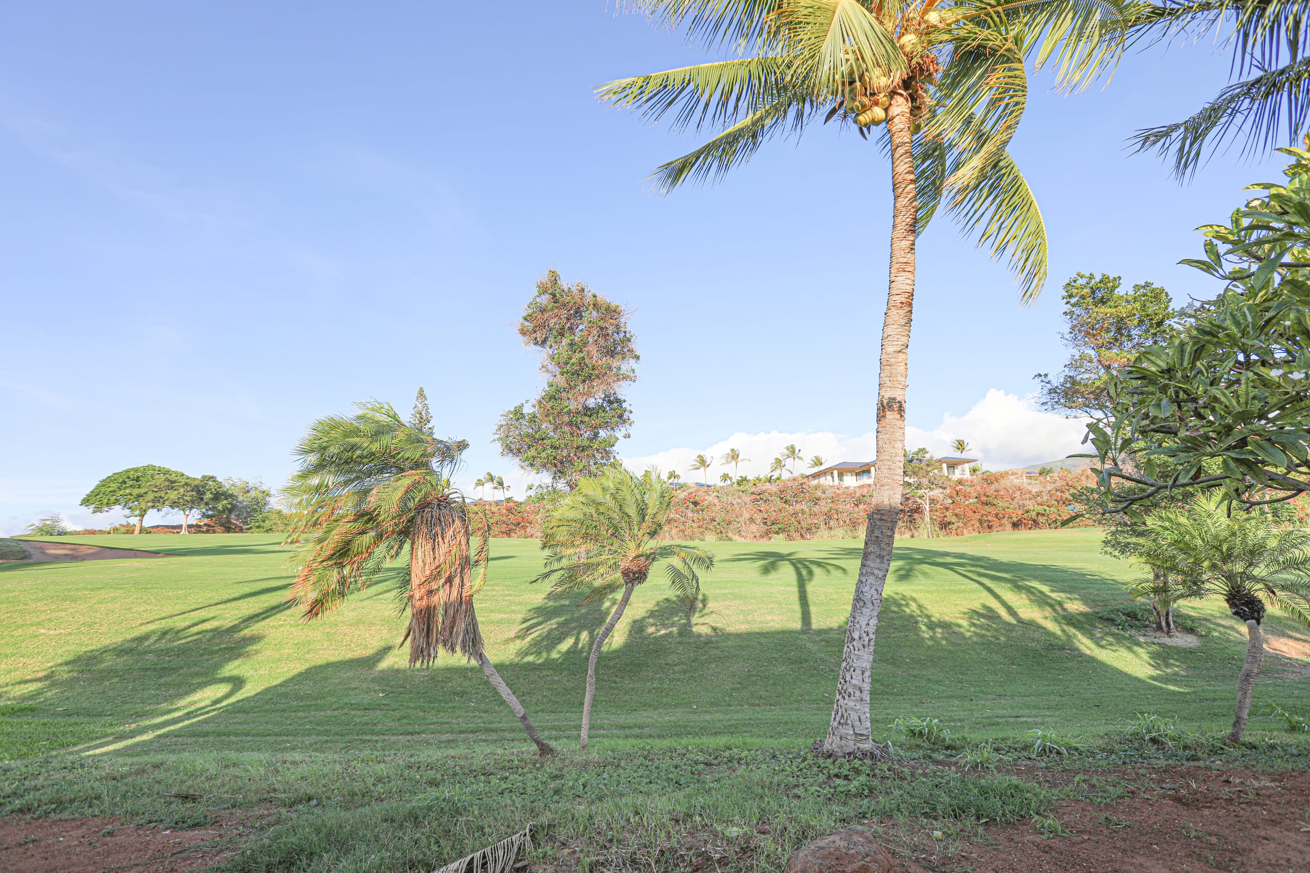 Villa in Lahaina · ★4.8 · 3 bedrooms · 6 beds · 3 baths - Image 105