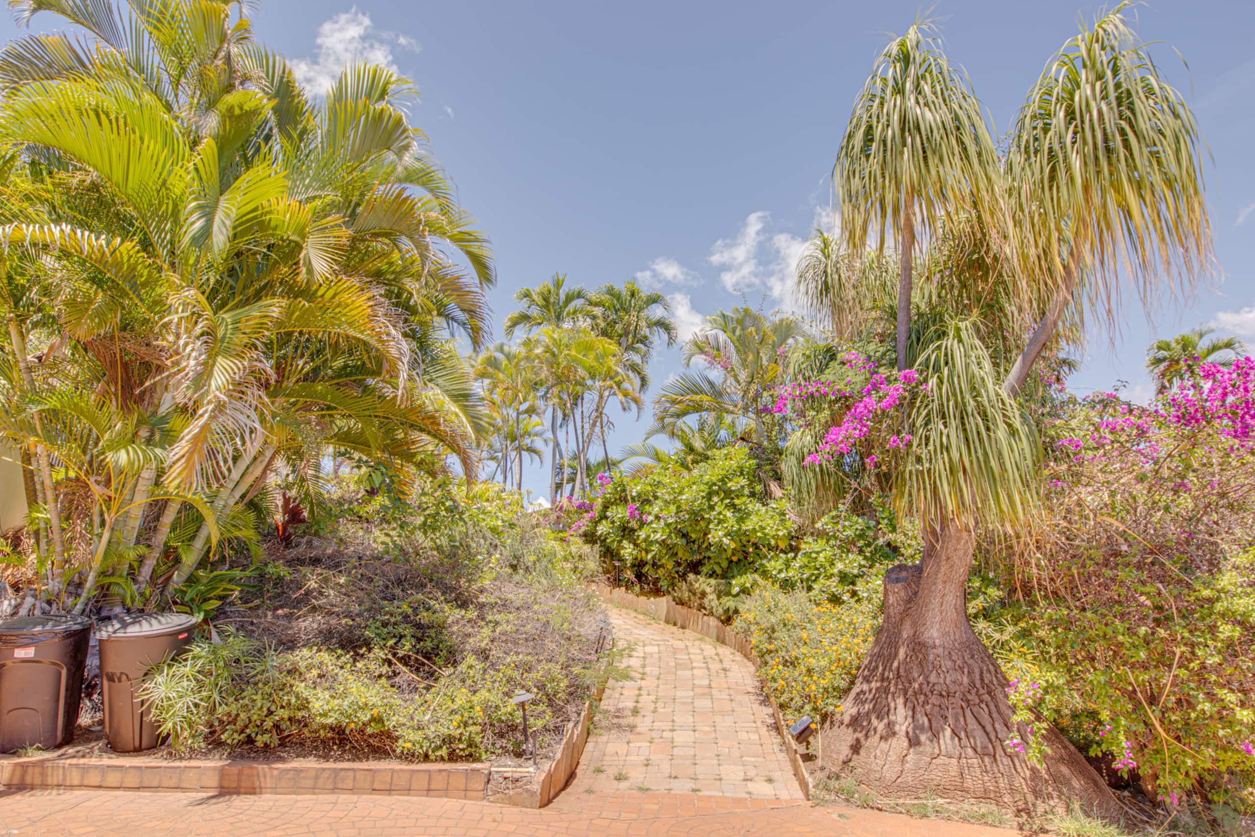 Villa in Lahaina · ★4.8 · 3 bedrooms · 6 beds · 3 baths - Image 134