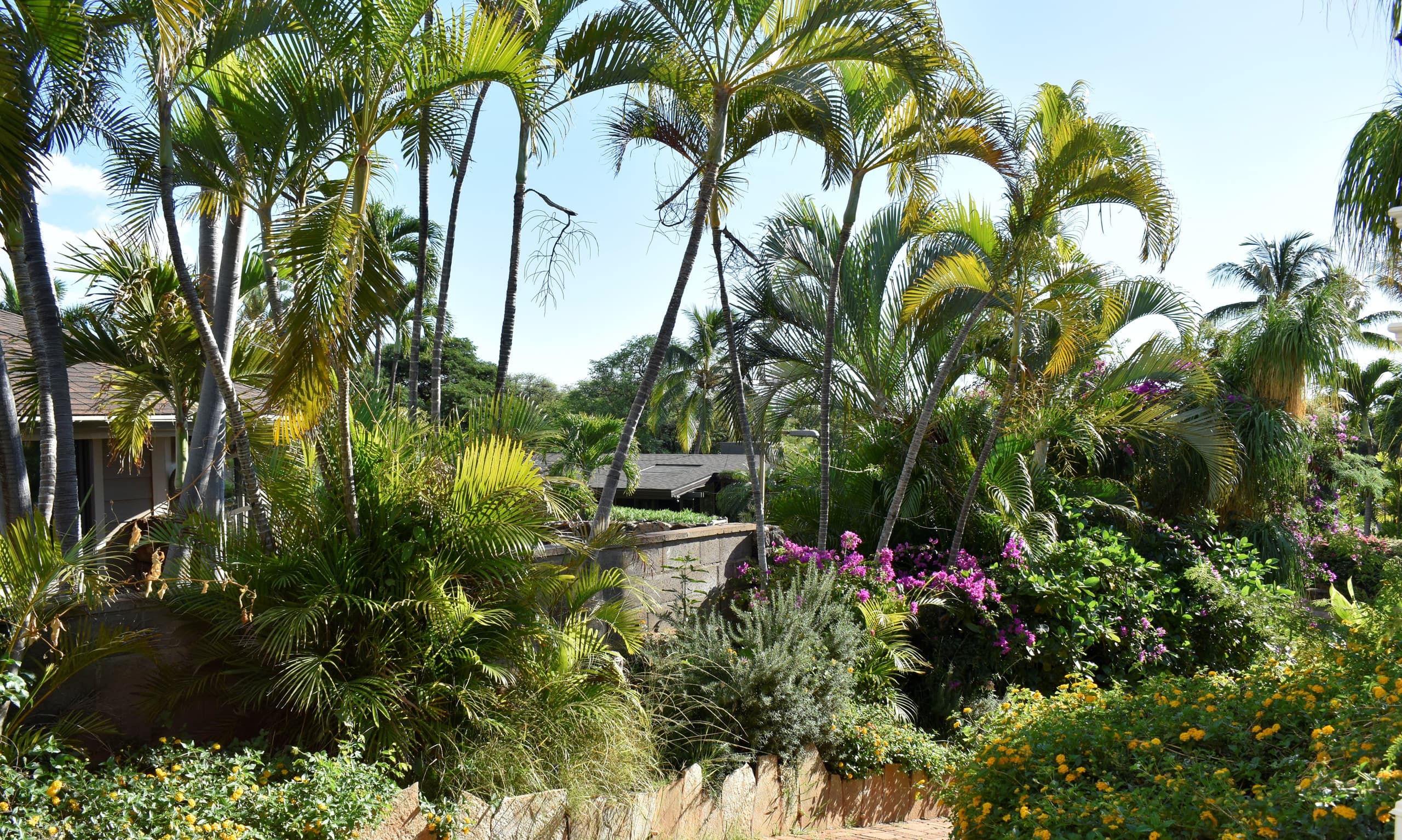 Villa in Lahaina · ★4.8 · 3 bedrooms · 6 beds · 3 baths - Image 110