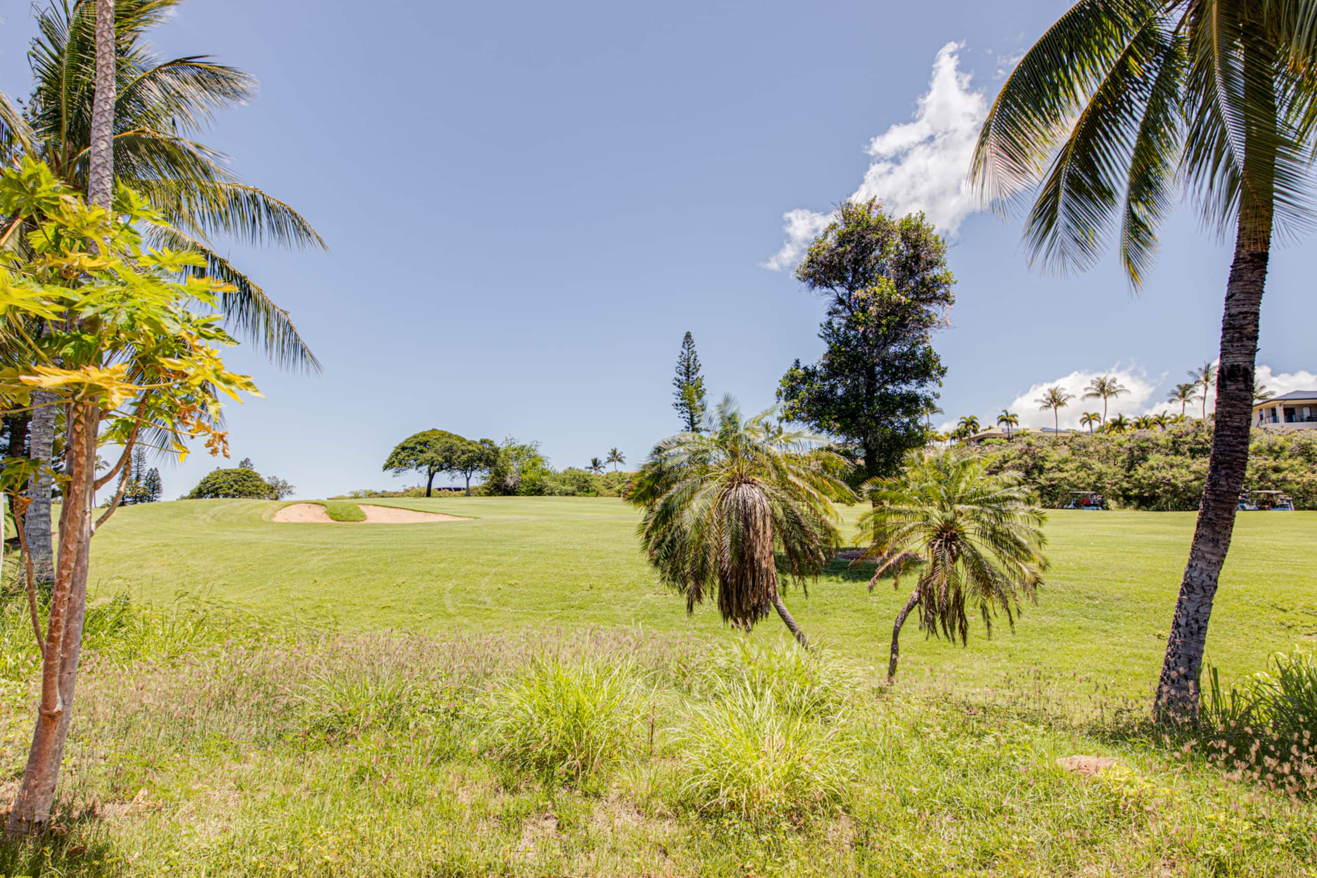 Villa in Lahaina · ★4.8 · 3 bedrooms · 6 beds · 3 baths - Image 126