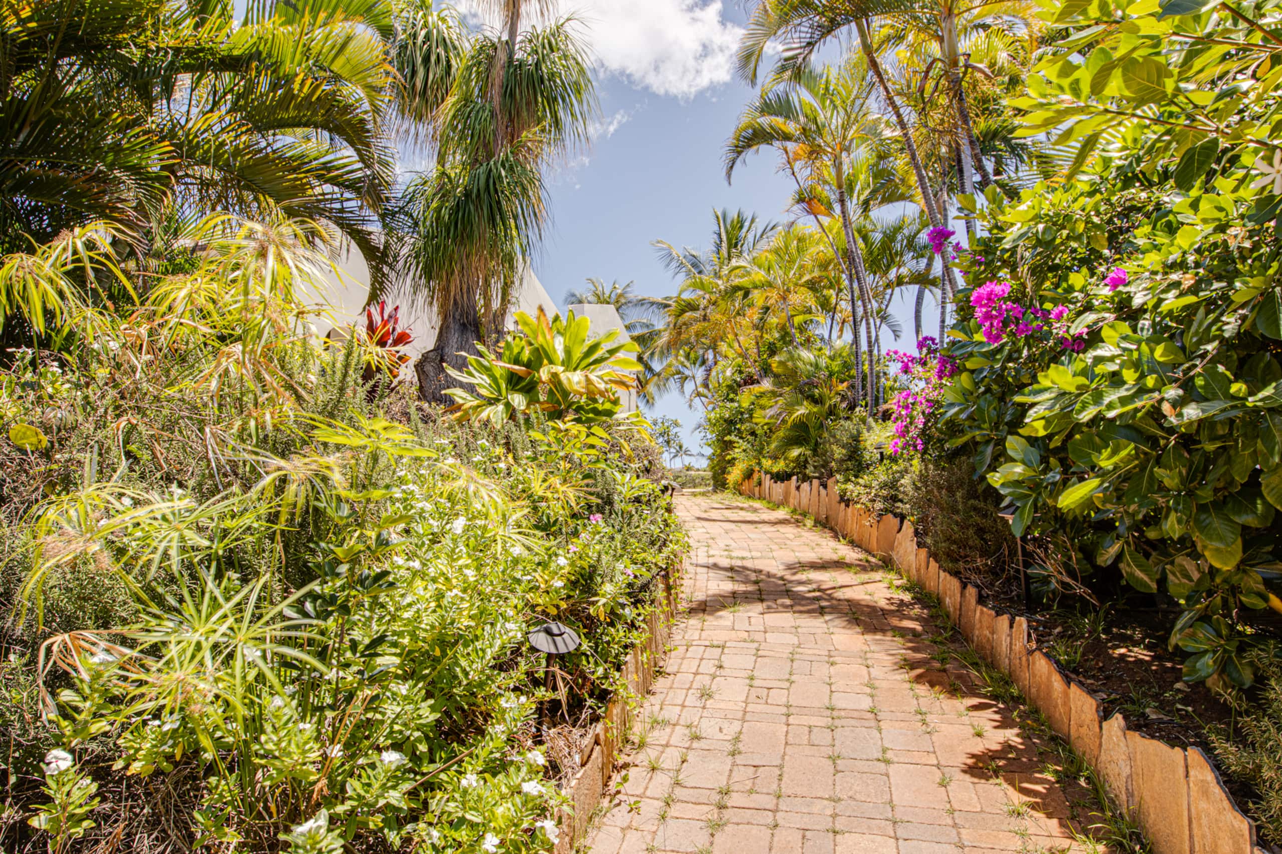 Villa in Lahaina · ★4.8 · 3 bedrooms · 6 beds · 3 baths - Image 120
