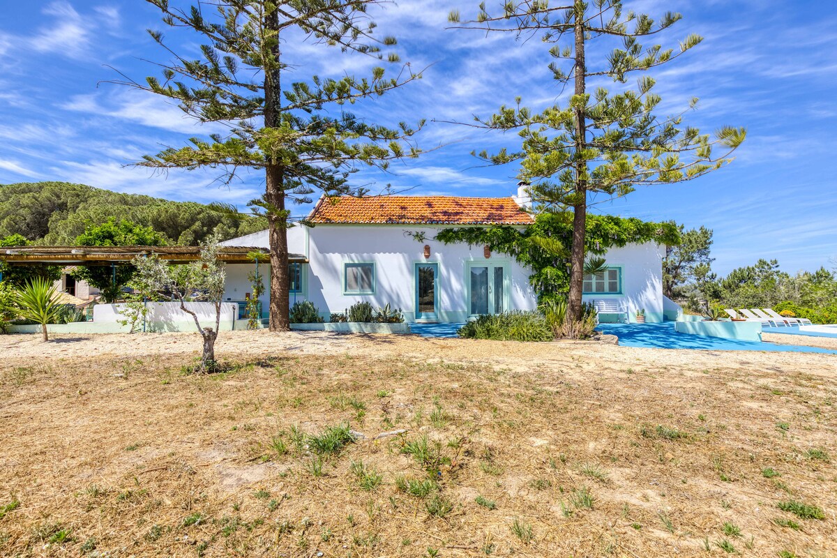 Casa Cactus Melides - Villas for Rent in Melides, Setbal, Portugal - Airbnb
