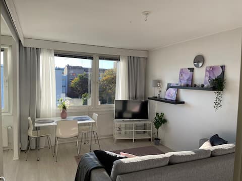 Popular Airbnb listing: Cozy studio in the center of Turku in Vii
