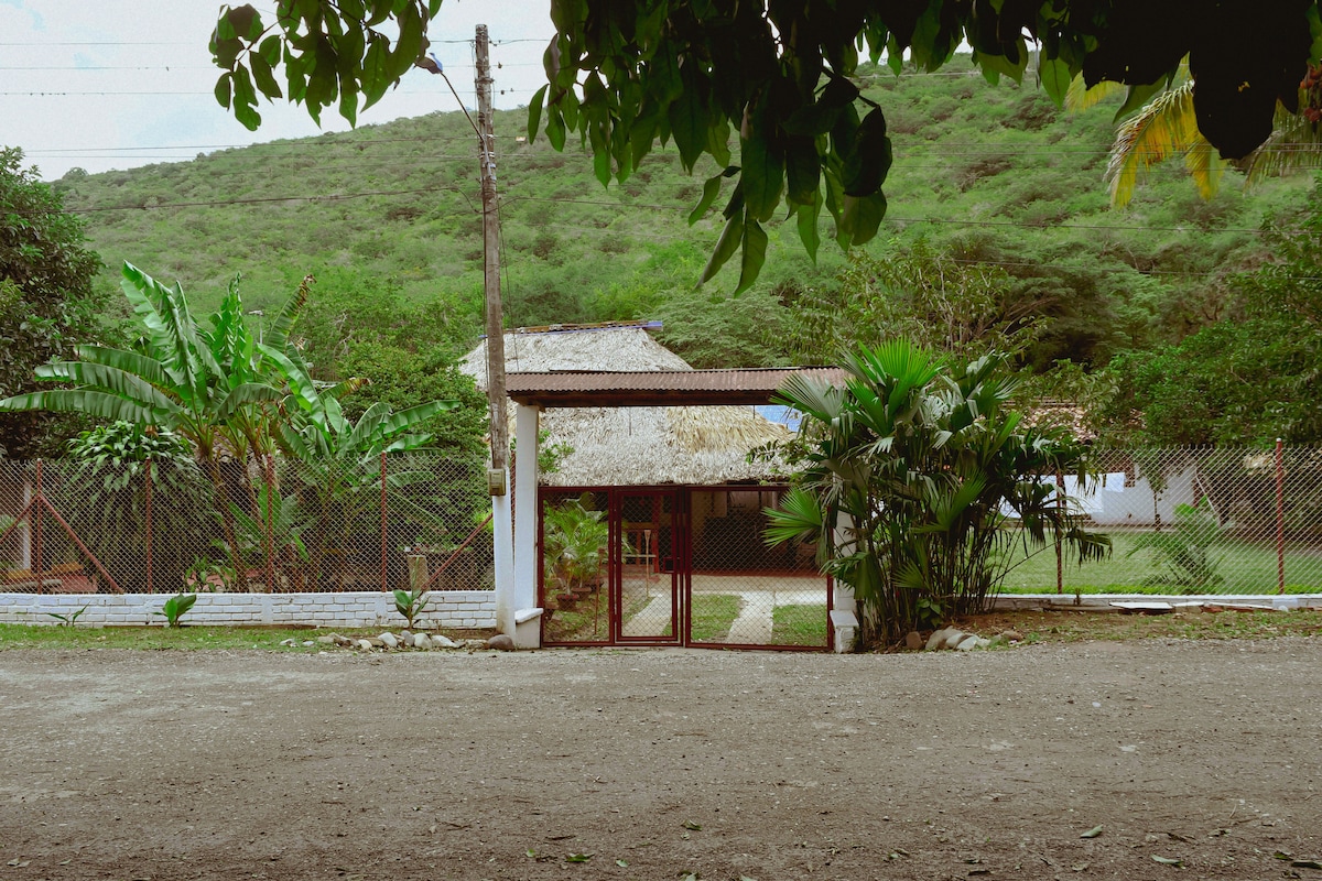 The exterior view of a rustic house is framed by lush greenery, including palm trees and large leaves. A dirt path leads to the entrance, showcasing a tranquil setting with a grassy area surrounding the house, located in a serene environment.