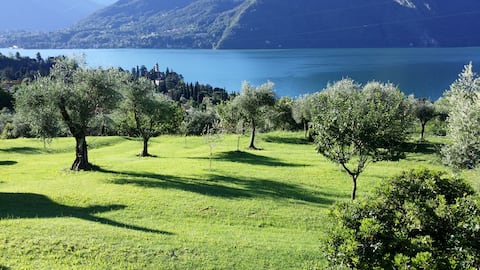 Top performing Airbnb: Melina's house 1 in Tremezzina