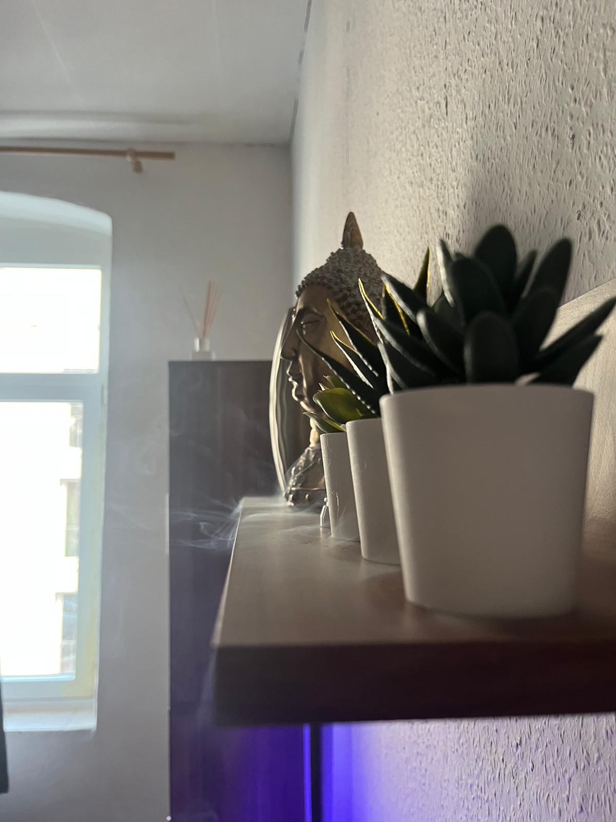 Top performing Airbnb: Beautiful central 2.5 room apartment in Nordstadt in Nordstadt