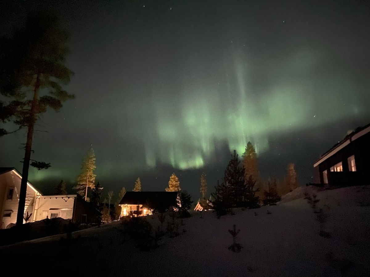 A night scene is depicted with the northern lights illuminating the sky in vibrant green hues. Surrounding cabins are visible, some warmly lit, nestled among snow-covered landscapes and pine trees. The serene atmosphere offers a glimpse of natural beauty in a tranquil setting.