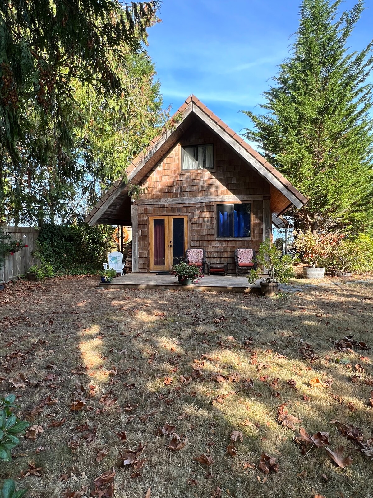 The cabin features a rustic exterior with wood shingles and a sloped roof. A welcoming entrance is flanked by two potted plants, while two chairs with cushions are positioned on the porch. Fallen leaves cover the yard, surrounded by greenery.