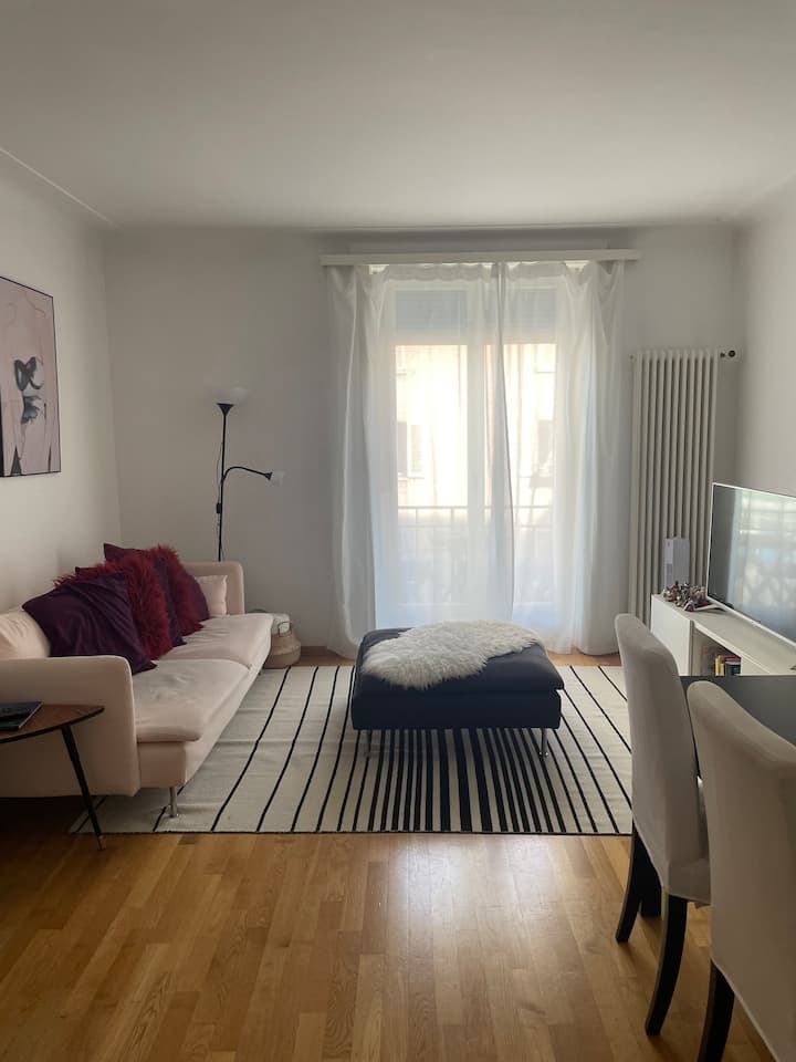 Lovely 1 bedroom perfect location Apartments for Rent in Zürich