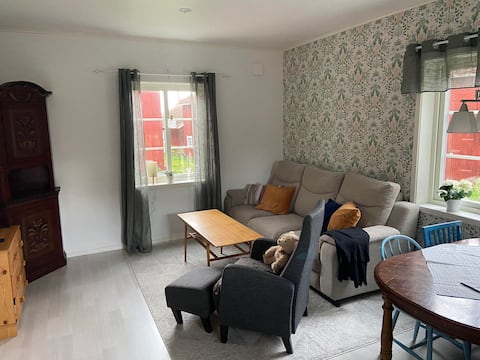 Top performing Airbnb: Nice apartment in a village environment in Mora