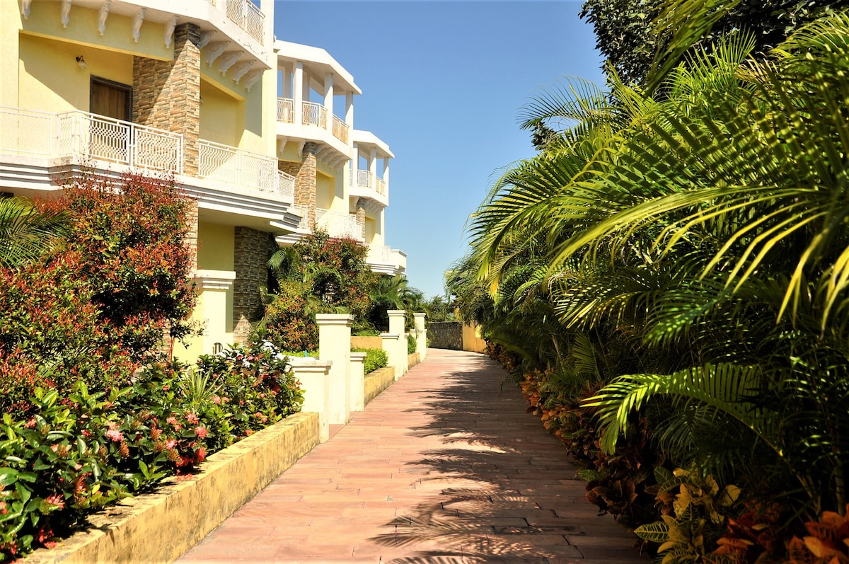 A landscaped pathway leads through lush greenery towards a series of elegantly designed buildings. The vibrant foliage flanks the walkway, enhancing the serene atmosphere. The clear blue sky provides a bright backdrop to this inviting scene.