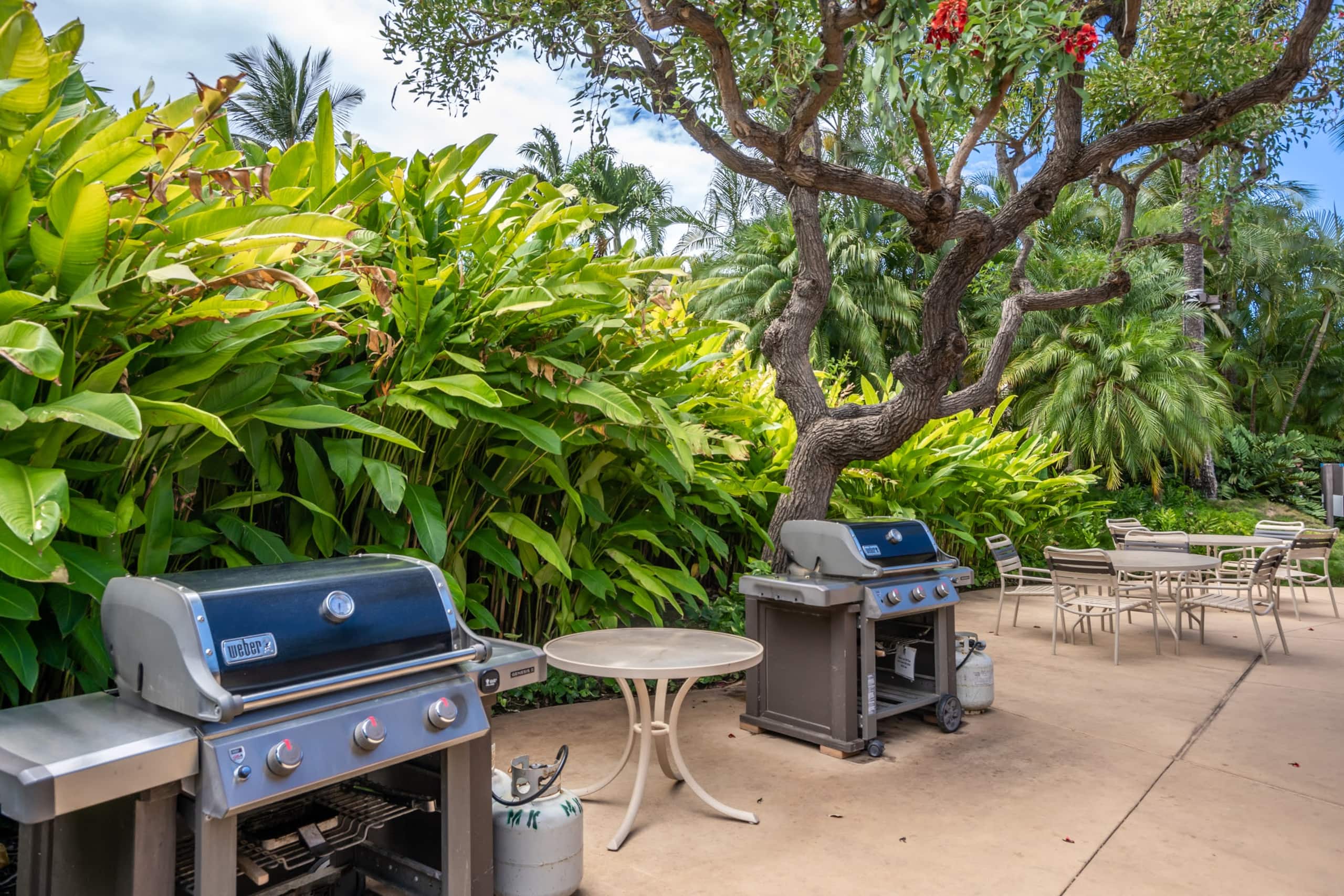 Condo in Kihei · ★4.97 · 1 bedroom · 2 beds · 2 baths - Image 29