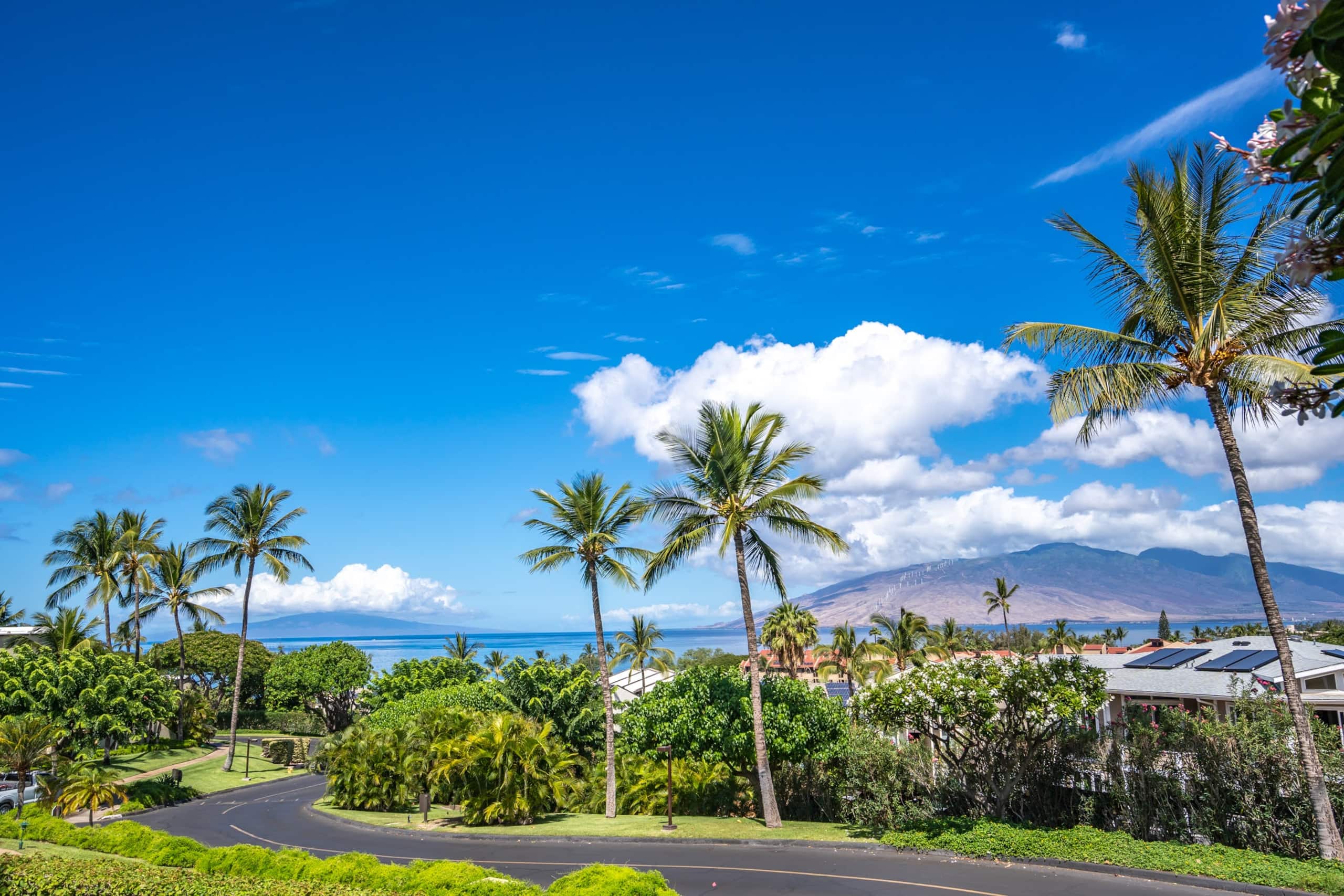 Condo in Kihei · ★4.97 · 1 bedroom · 2 beds · 2 baths - Image 27