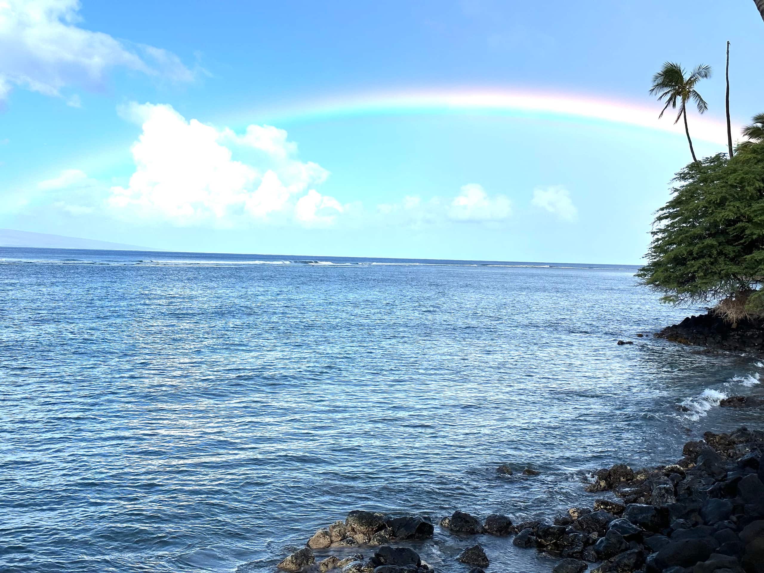 Condo in Lahaina · ★4.9 · 2 bedrooms · 4 beds · 2 private baths - Image 44