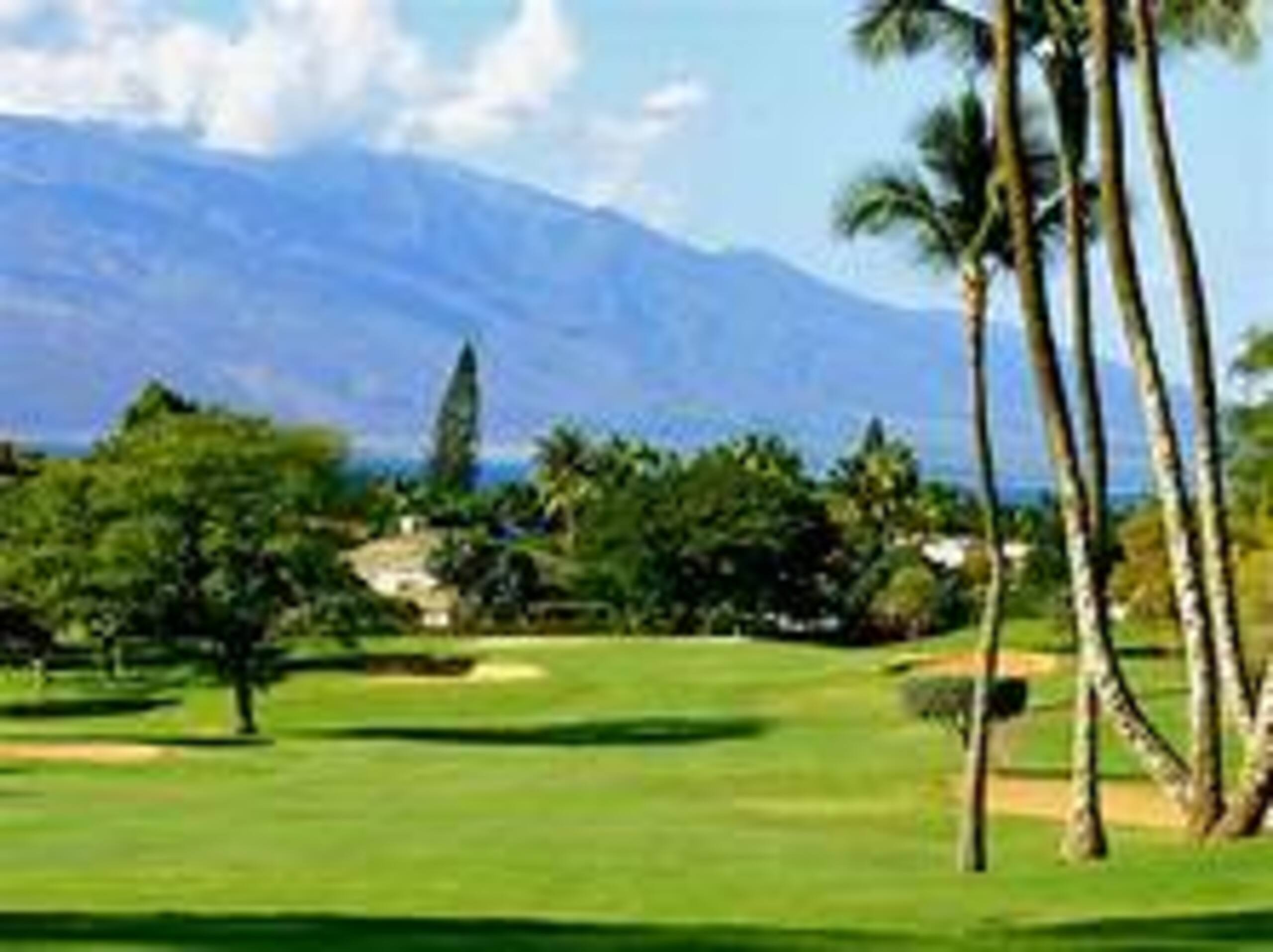 Condo in Lahaina · ★4.85 · 2 bedrooms · 3 beds · 2 private baths - Image 78