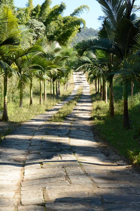 Cozy country cottage