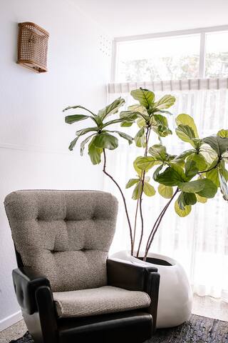 Palm Springs style house in the heart of Coffs gallery image 2