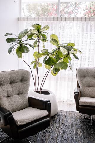 Palm Springs style house in the heart of Coffs gallery image 5