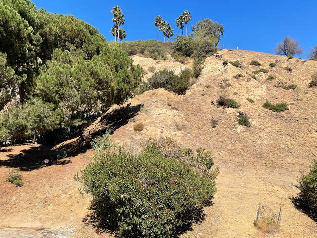 Villa Gazelle – a private and peaceful retreat gallery image 5