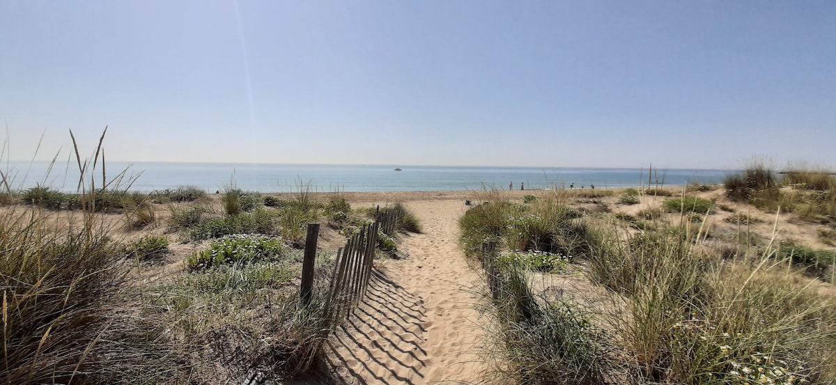 A sandy path bordered by beach grass leads towards the calm sea. The horizon showcases a clear blue sky meeting the water, while gentle waves break softly on the shore. The scene reflects a peaceful coastal environment, ideal for relaxation.