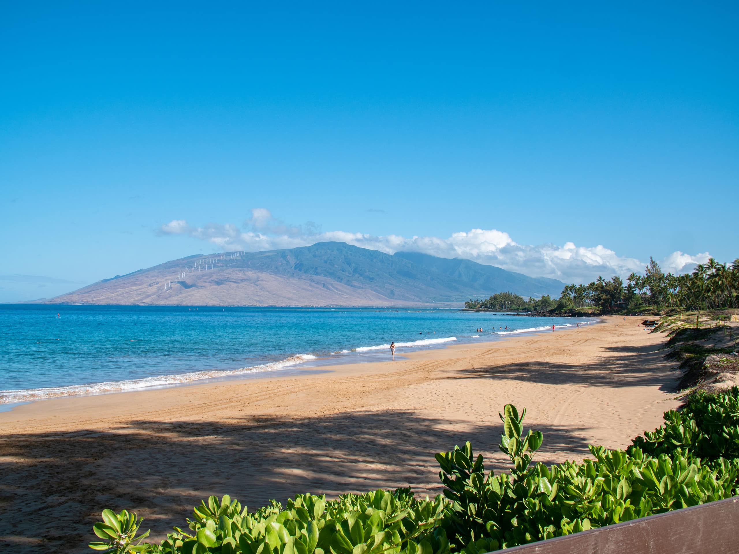 Condo in Kihei · ★4.83 · 2 bedrooms · 4 beds · 2 private baths - Image 26