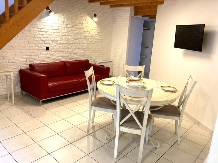 Petite Maison Hyper Centre Ville - Saint-Étienne-de-Montluc