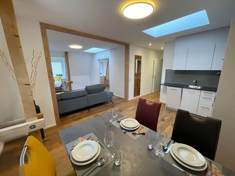 Spacious modern apartment in the center